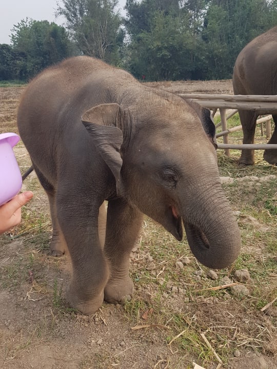 Sonstiges Hotel Holiday Inn Chiangmai