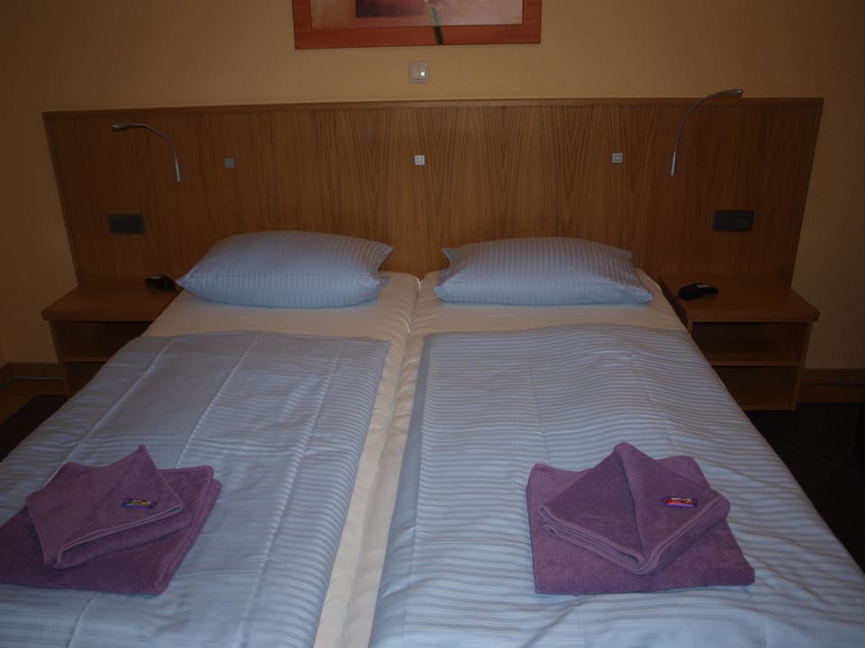 Doppelbett Wolfshotel am Arendsee