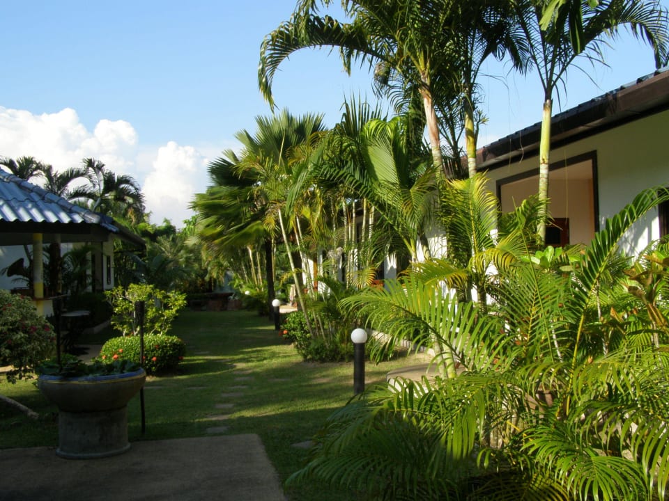 Blick auf die Reihenbungalows Phuket Lotus Lodge