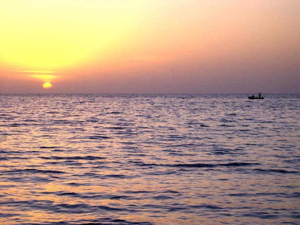 sonnenaufgang Club Palm Azur