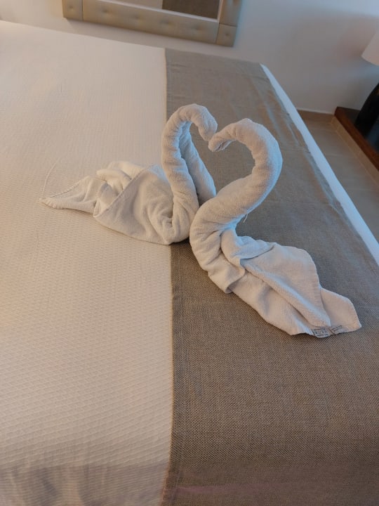 Zimmer Paradisus Varadero Resort & Spa