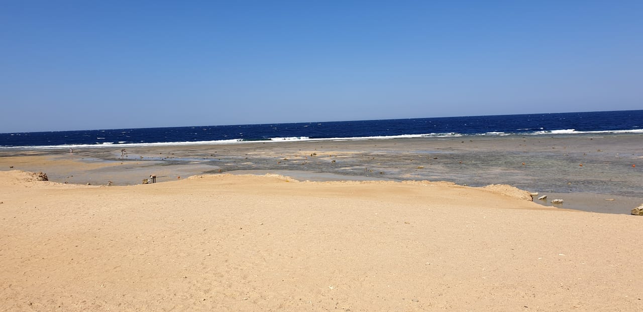 Strand Pickalbatros Sands Hotel - Port Ghalib