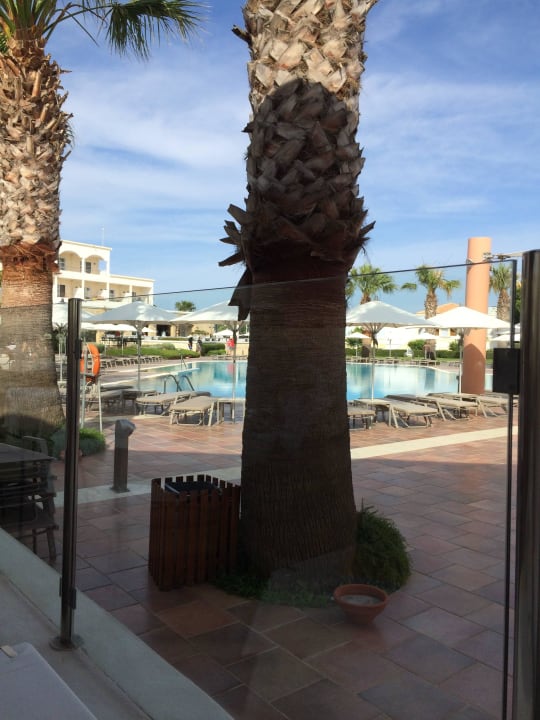 Wenig los Neptune Luxury Resort