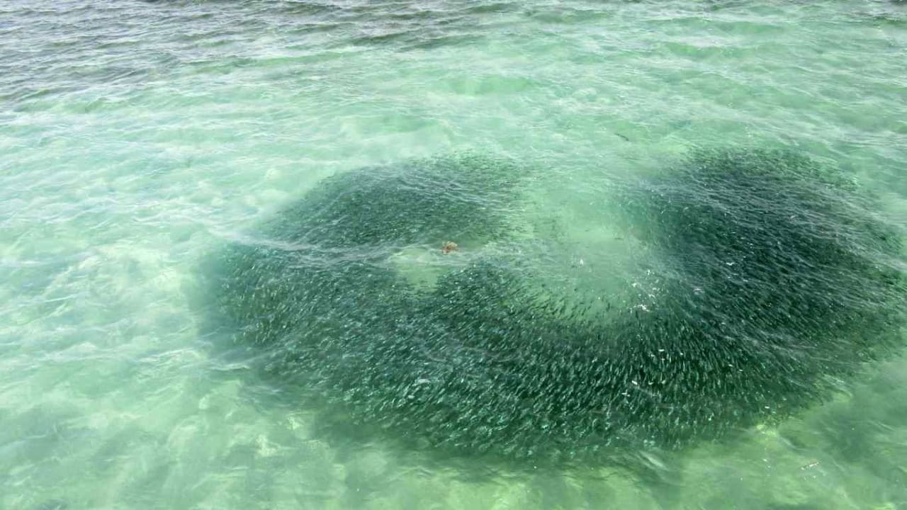 Sonstiges Casa Mare Resort