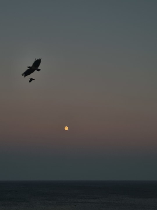 Ausblick Hotel Calypso Beach