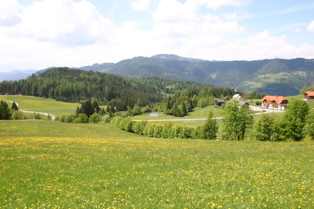Haus mit Teich und Landschaft Alpengasthof Moser