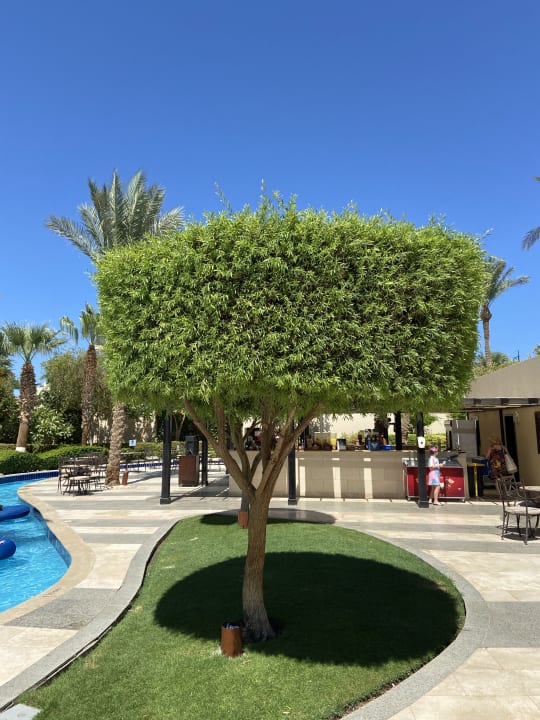 Gartenanlage Steigenberger Aqua Magic