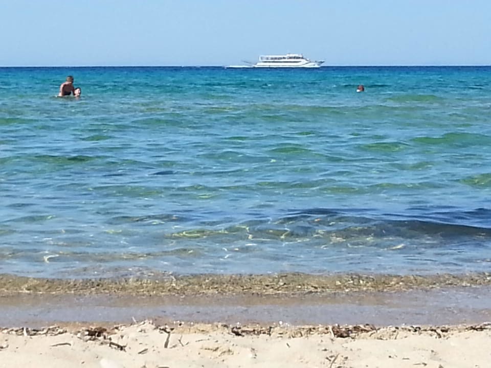 Małe fale i statki wycieczkowe AluaSoul Zakynthos - Adults only