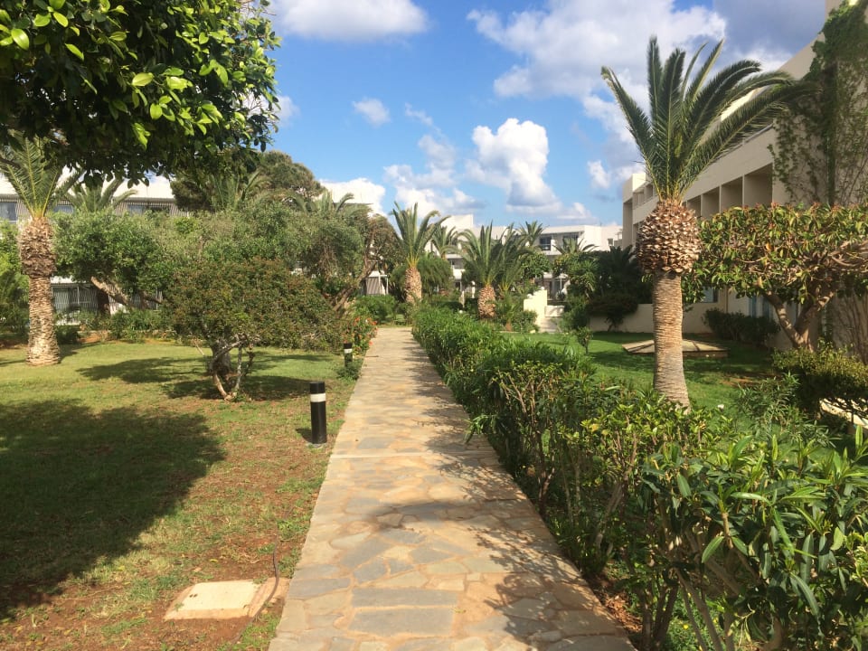 Gartenanlage Lyttos Beach Hotel
