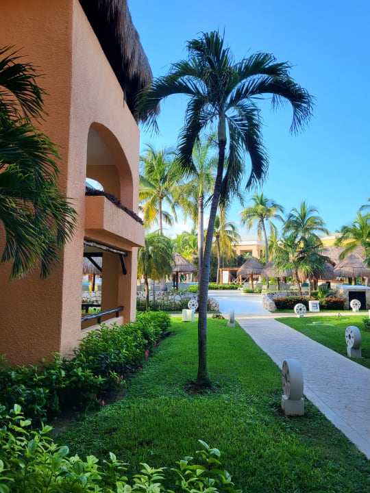 Gartenanlage Iberostar Selection Paraiso Lindo