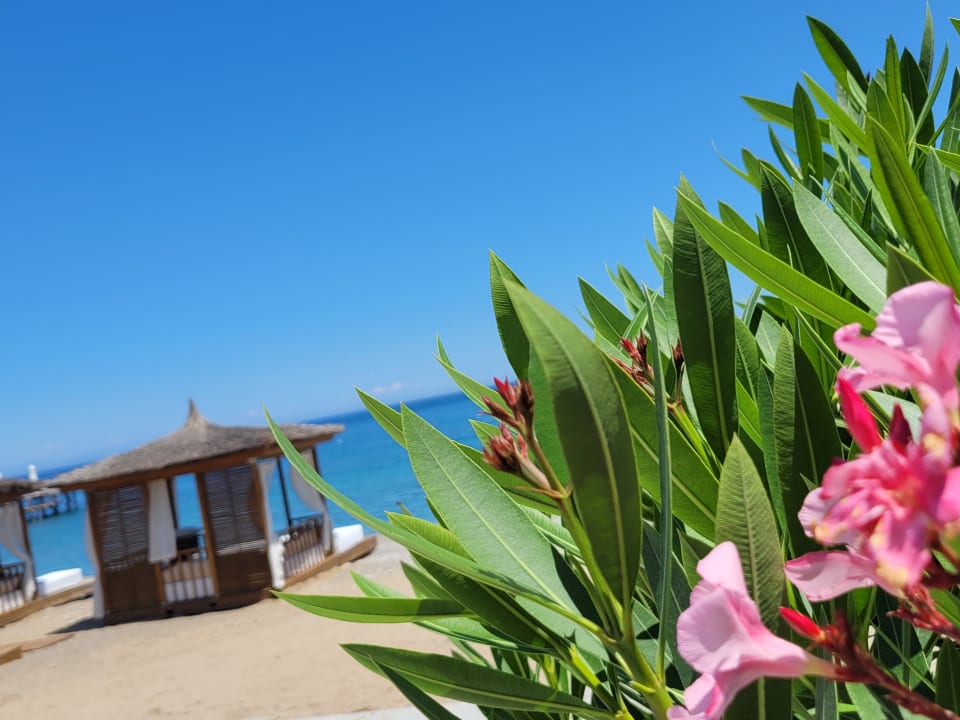 Strand Rixos Sungate