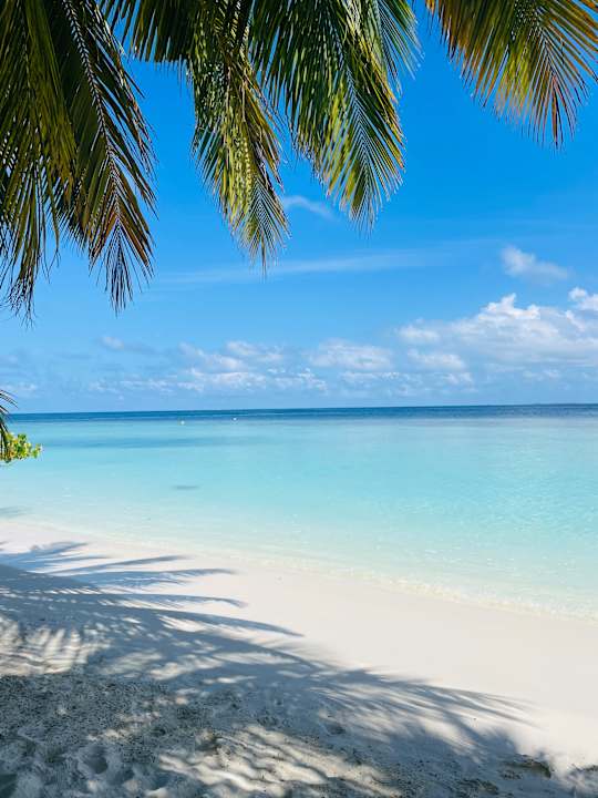 Strand Safari Island Maldives