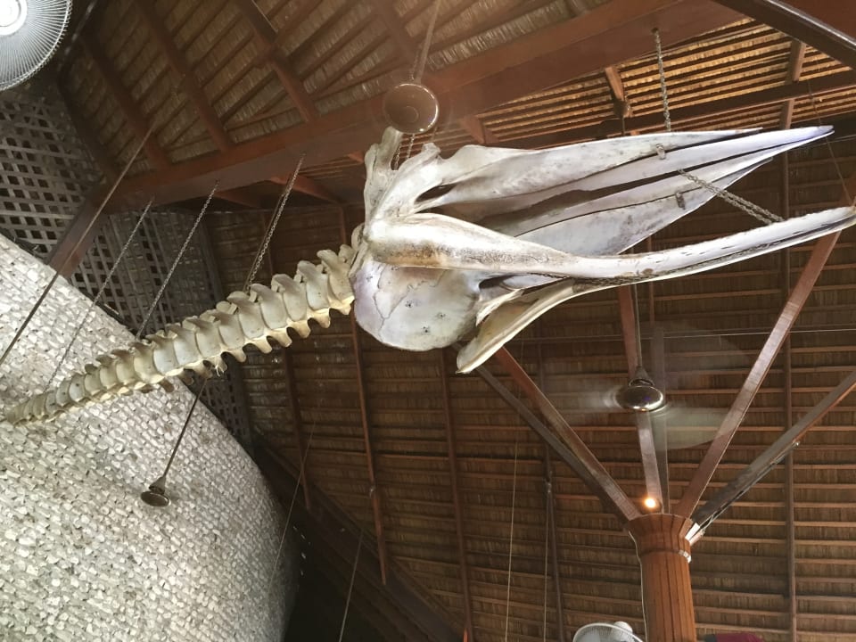 Sonstiges Kuredu Island Resort & Spa