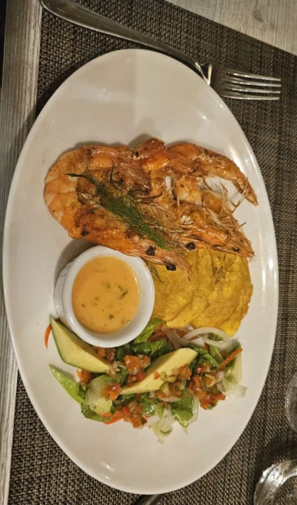 Gastro Wyndham Alltra Samana