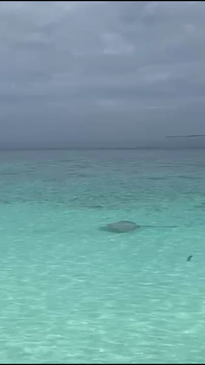 Strand Adaaran Select Meedhupparu Island Resort - Premium All Inclusive