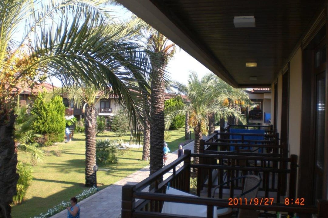 Ausblick vom Balkon TUI BLUE Palm Garden