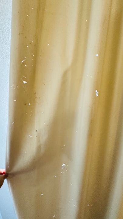 Zimmer SBH Hotel Taro Beach