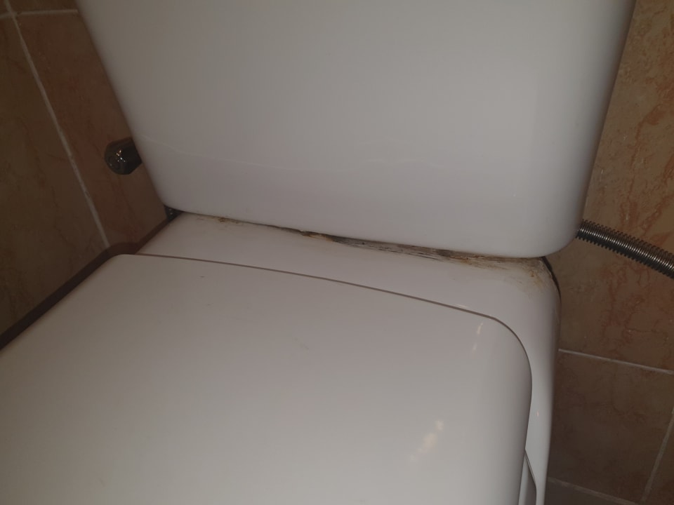 Zimmer Menaville Safaga