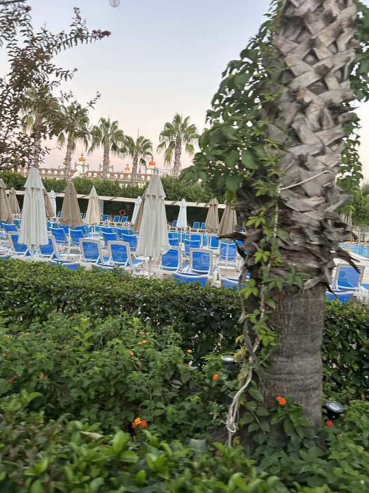 Pool Hane Family Resort