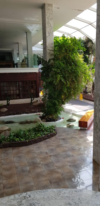 Lobby Hotel Best Tenerife