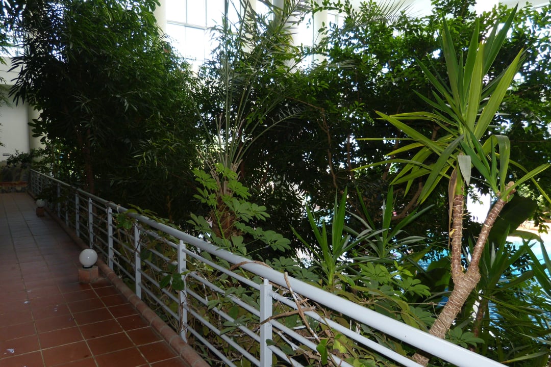 W środku - hol Hotel Pine Bay Holiday Resort