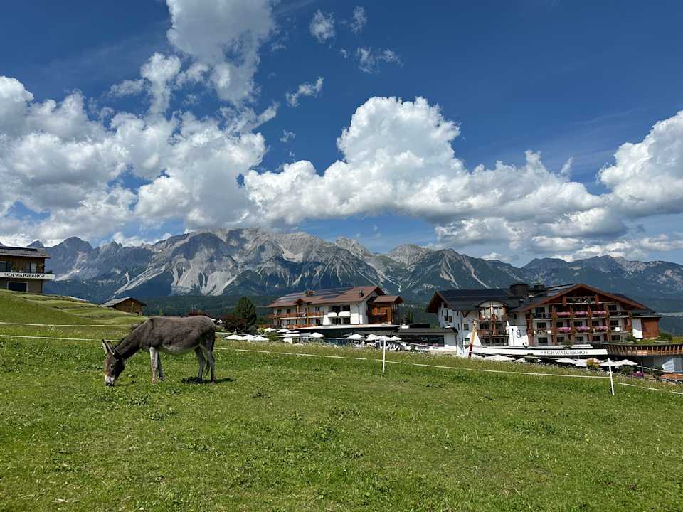 Außenansicht BIO-Pension Aussacher