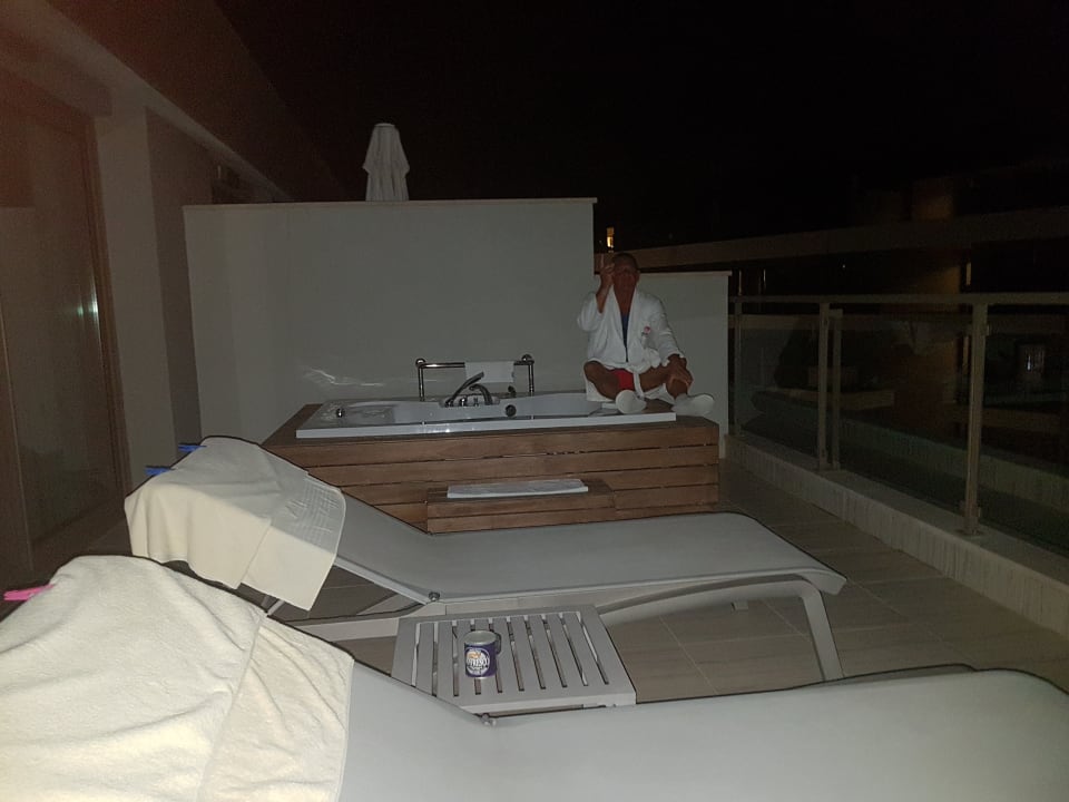 Zimmer Acanthus Cennet Barut Collection