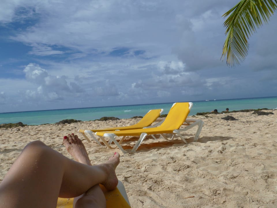 Weitläufiger Strand Hotel Viva Dominicus Palace by Wyndham-All Inclusive Resort