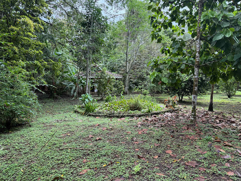 "Gartenanlage" Cabinas Wolfsong Cahuita (Cahuita) • HolidayCheck ...