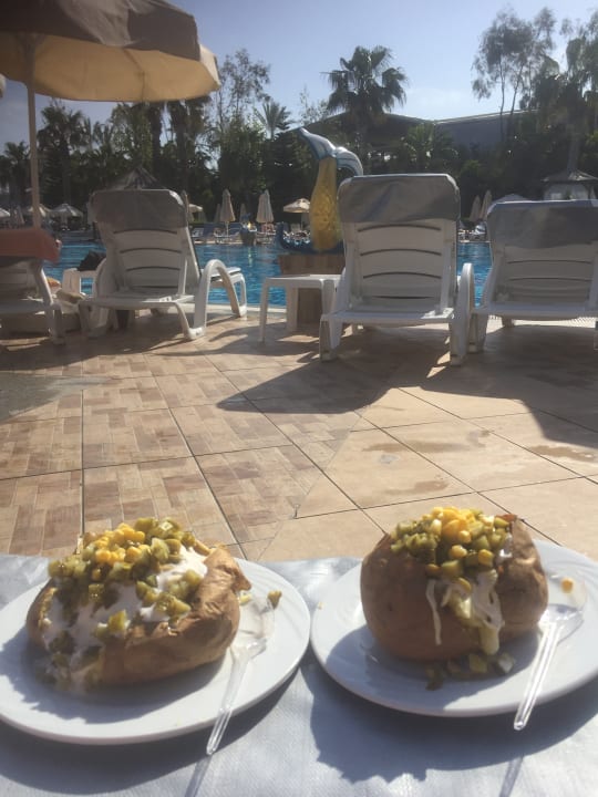 Pool Hotel Delphin Imperial