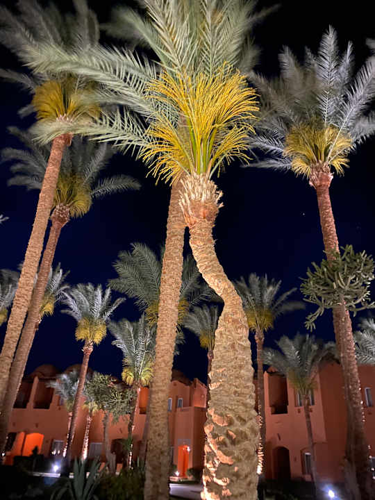 Außenansicht Jaz Makadi Oasis Resort