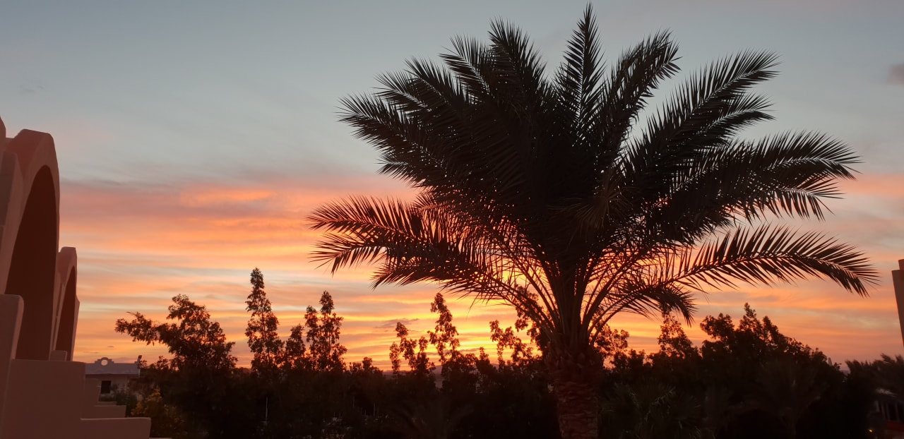Ausblick Three Corners Sea Beach Resort