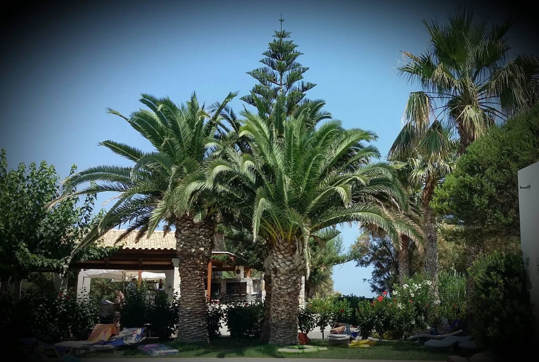 Hotel Cretan Malia Park Phãea Cretan Malia