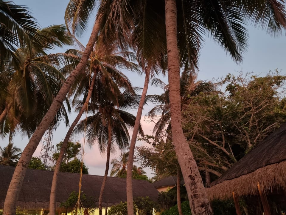 Gartenanlage Summer Island Maldives