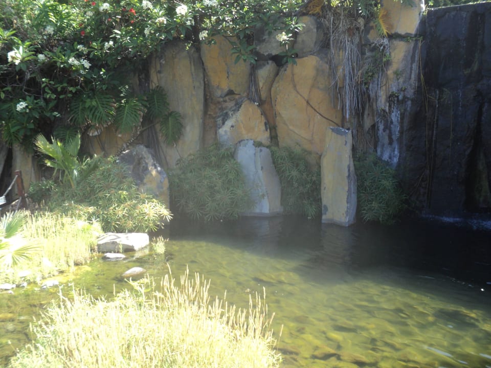 Alles schön La Palma Princess