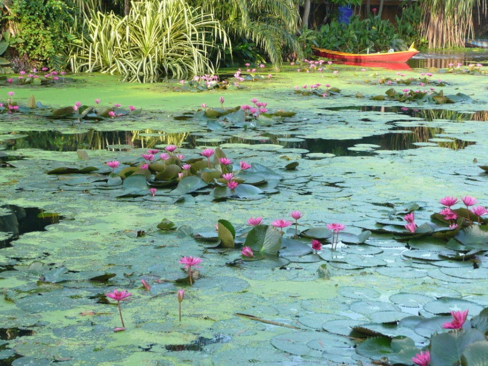 Blick vom Lagoon Pool Anantara Hua Hin Resort