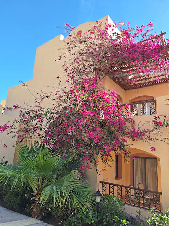 Zimmer Steigenberger Coraya Beach - Adults only