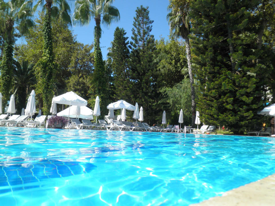 Pool nahe der Poolbar Hotel Botanik Platinum