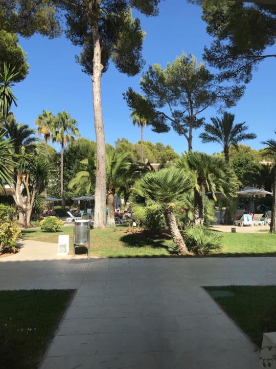 Gartenanlage Iberostar Waves Pinos Park