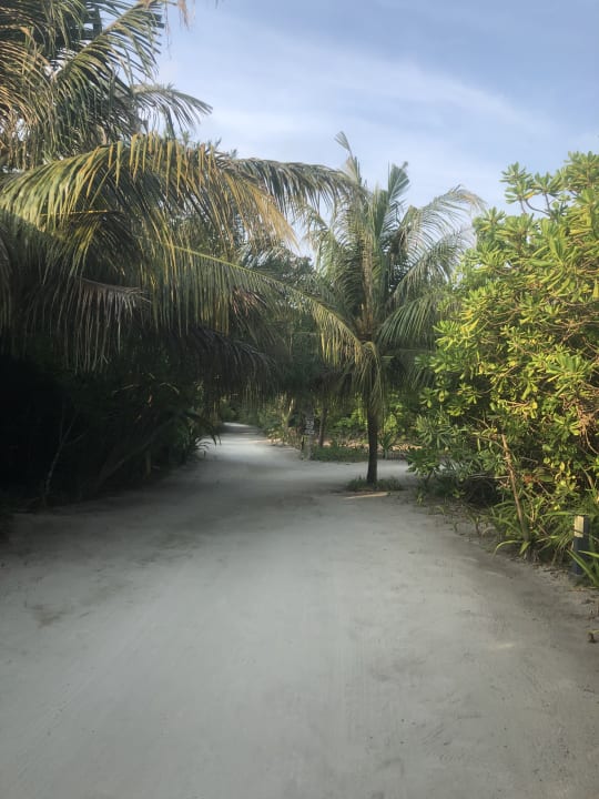 Gartenanlage Hondaafushi Island Resort