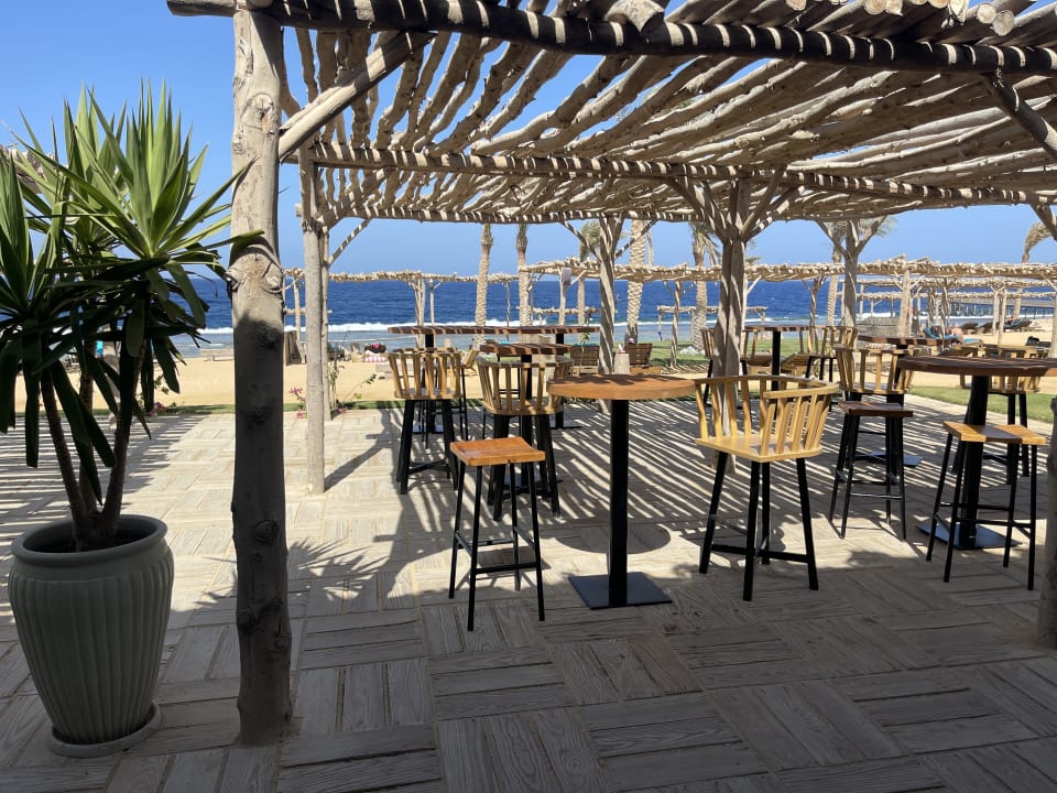 Gastro Steigenberger Resort Alaya Marsa Alam - Red Sea - Adults only