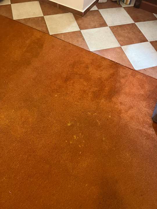 Zimmer Senza Garden Holiday Club