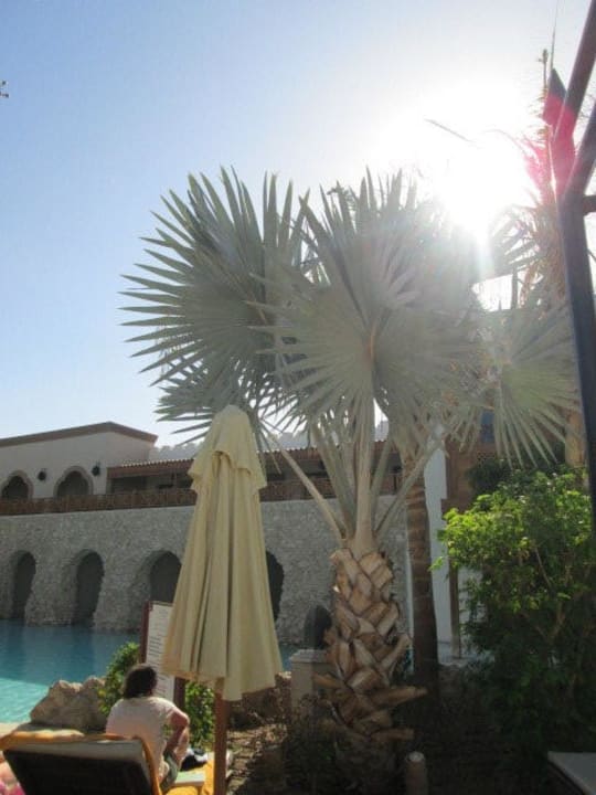 Garten Ghazala Gardens