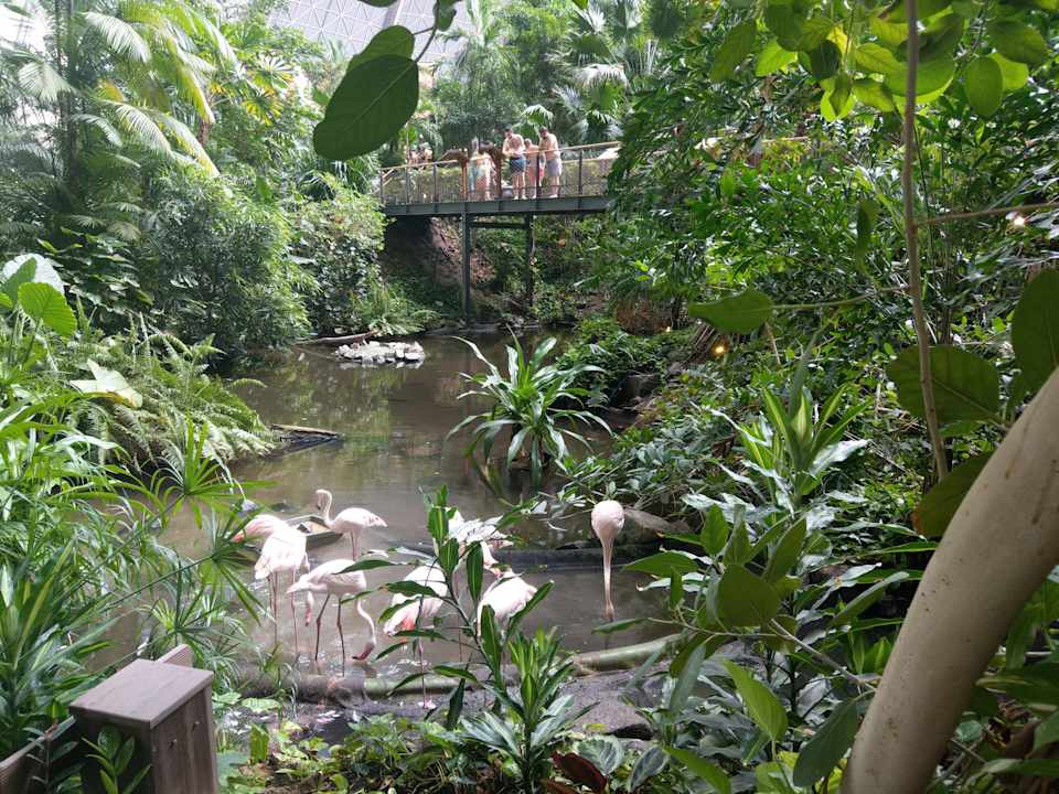 Gartenanlage Tropical Islands Resort