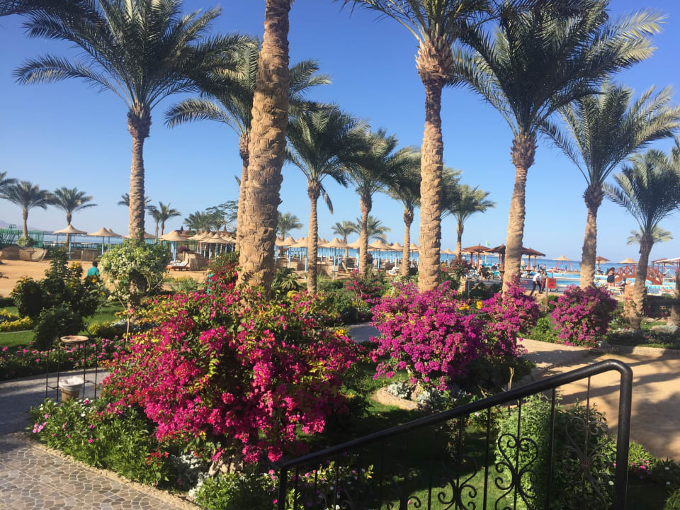 Gartenanlage Riviera Aqua Park Resort