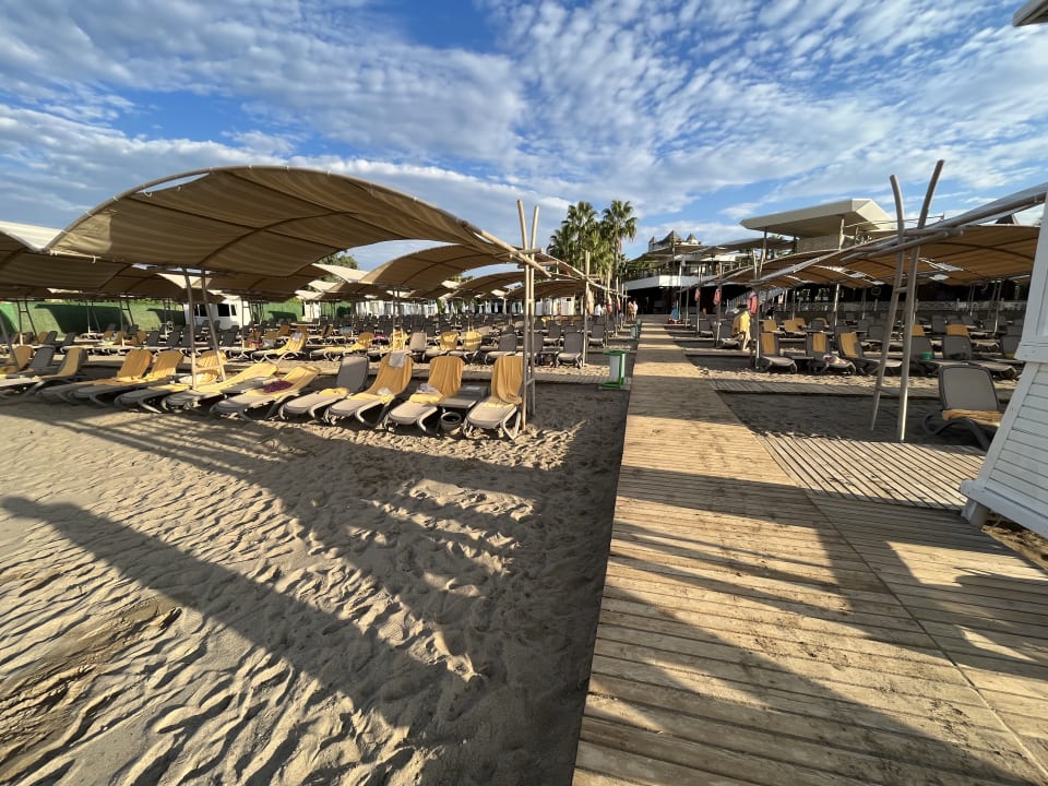 Strand Papillon Zeugma Relaxury