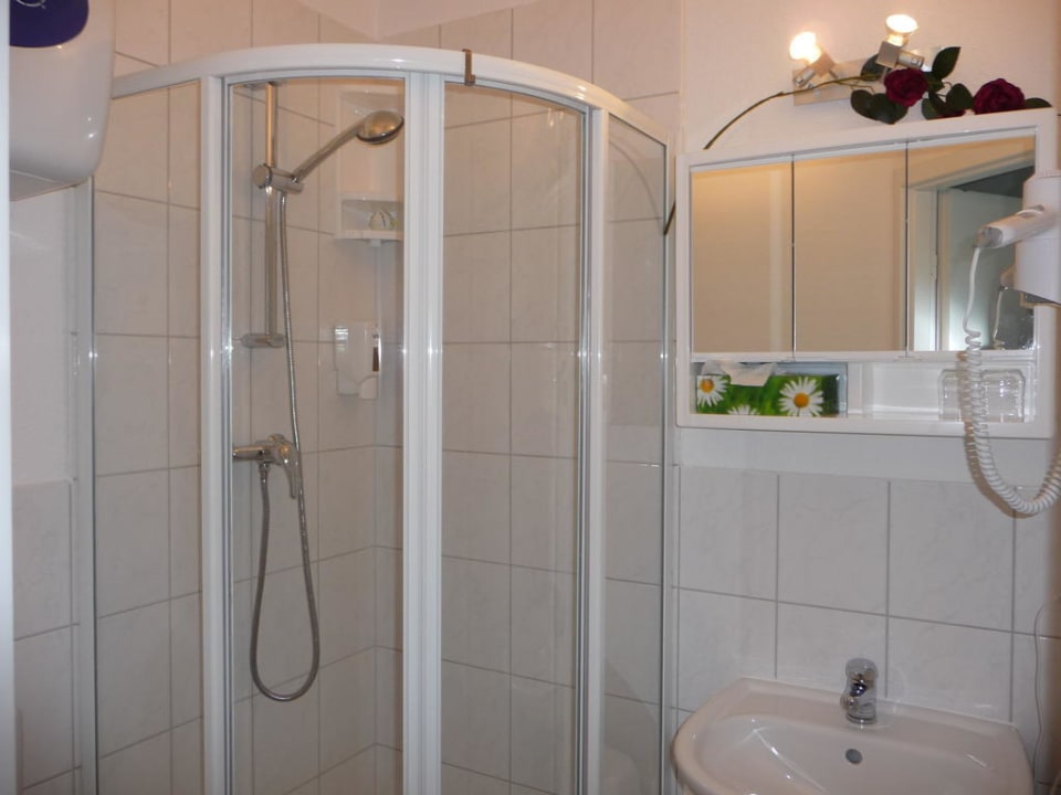 Dusche/WC im Doppelzimmer Apartmenthaus & Pension Antik Siemon