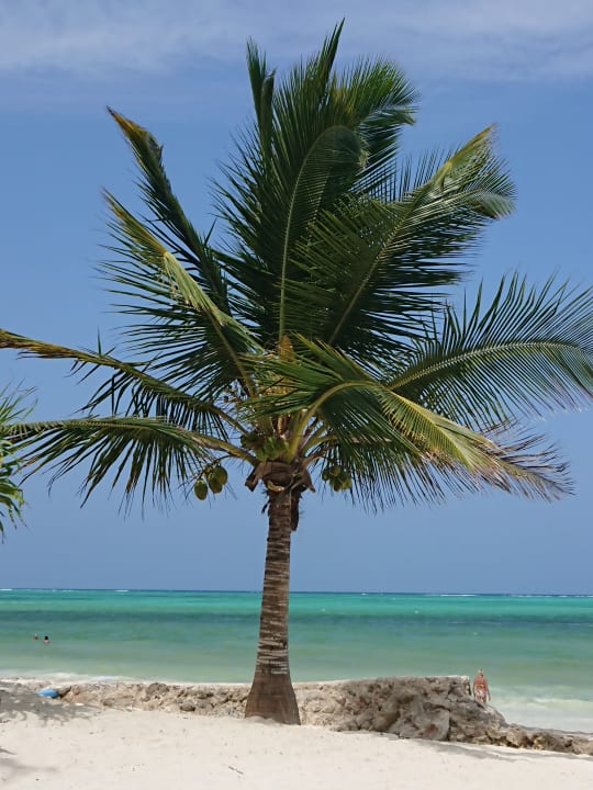 Strand Neptune Pwani Beach Resort & Spa