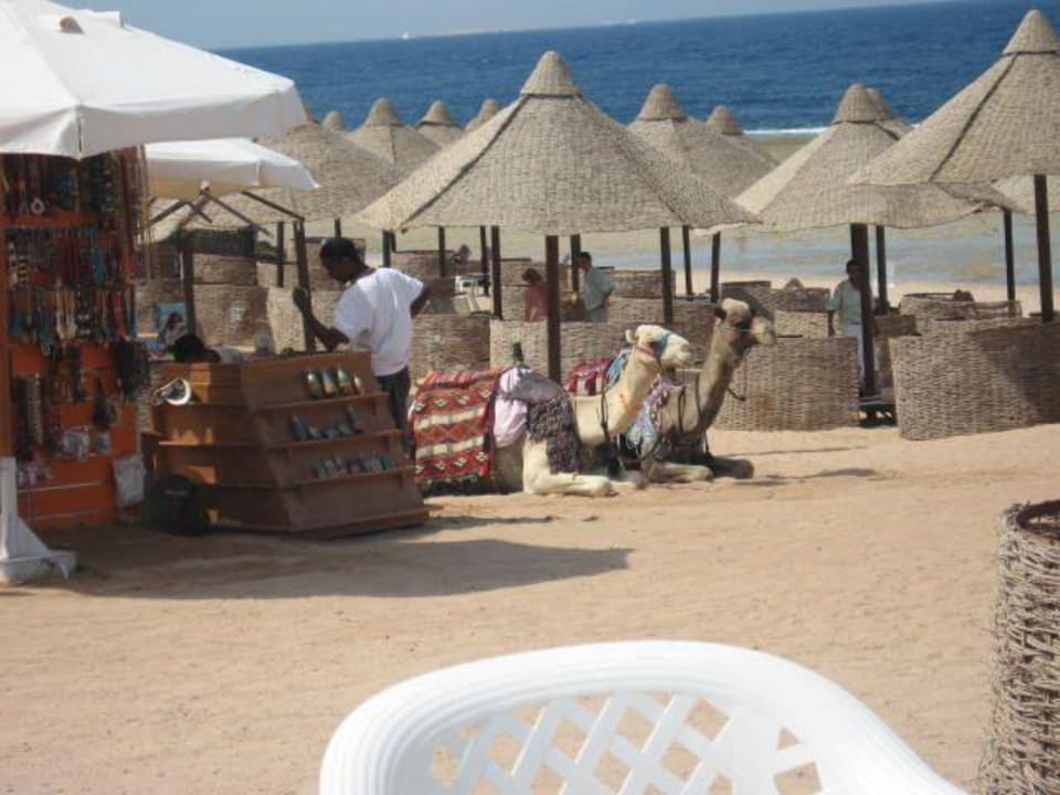 Plaża Serenity Alpha Beach