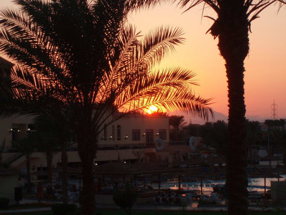 Sonnenuntergang Pickalbatros Dana Beach Resort - Hurghada